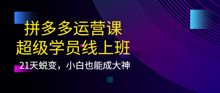 拼多多运营课：超级学员线上班，21天蜕变，小白也能成大神-飞秋社