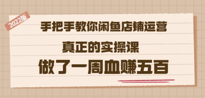 2022版《手把手教你闲鱼店铺运营》真正的实操课做了一周血赚五百(16节课)-飞秋社