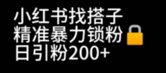 小红书找搭子暴力精准锁粉+引流日引200+精准粉-飞秋社