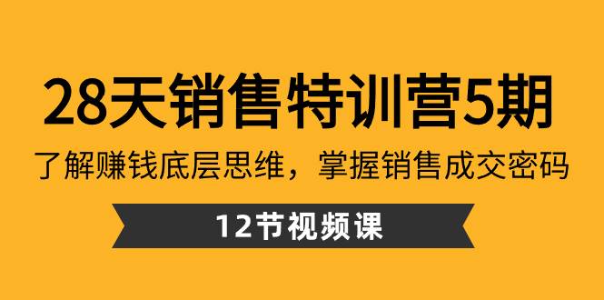 28天·销售特训营5期：了解赚钱底层思维，掌握销售成交密码（12节课）-飞秋社