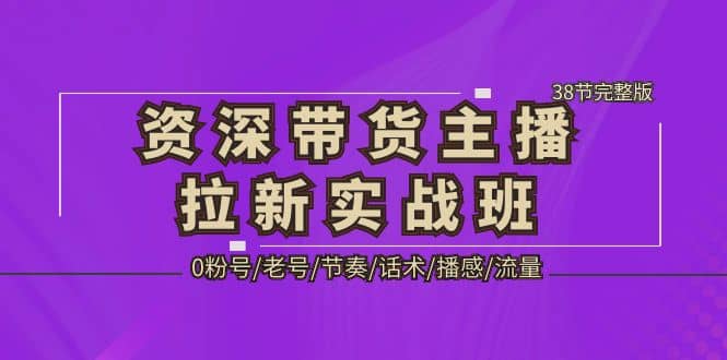 资深·带货主播拉新实战班，0粉号/老号/节奏/话术/播感/流量-38节完整版-飞秋社