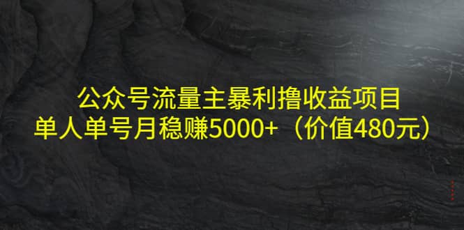 公众号流量主暴利撸收益项目，单人单号月稳赚5000+（价值480元）-飞秋社