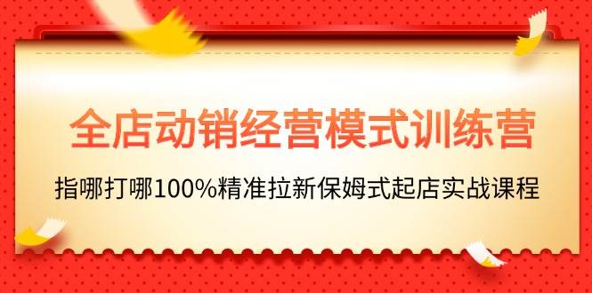 全店动销-经营模式训练营，指哪打哪100%精准拉新保姆式起店实战课程-飞秋社