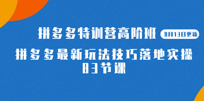 2023拼多多·特训营高阶班【9月13日更新】拼多多最新玩法技巧落地实操-83节-飞秋社