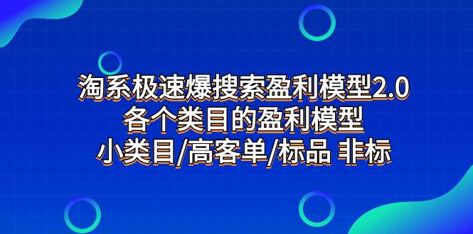 淘系极速爆搜索盈利模型2.0，各个类目的盈利模型，小类目/高客单/标品 非标-飞秋社