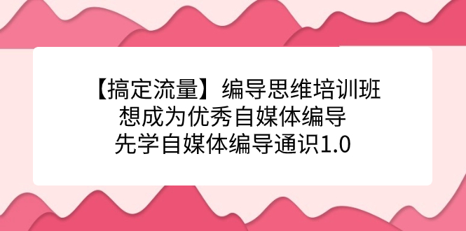 【搞定流量】编导思维培训班，想成为优秀自媒体编导先学自媒体编导通识1.0-飞秋社