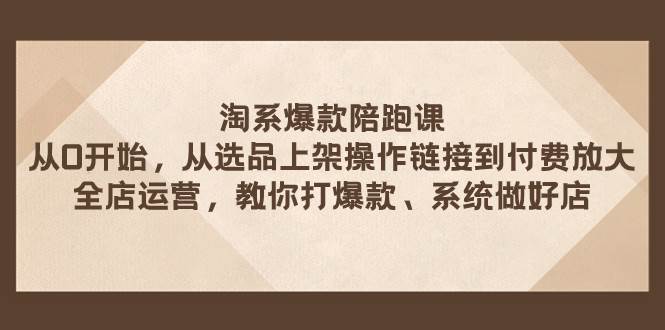 淘系爆款陪跑课 从选品上架操作链接到付费放大 全店运营 打爆款 系统做好店-飞秋社