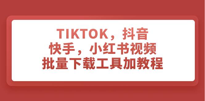 TIKTOK，抖音，快手，小红书视频批量下载工具加教程-飞秋社