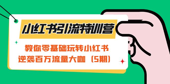 小红书引流特训营-第5期：教你零基础玩转小红书，逆袭百万流量大咖-飞秋社