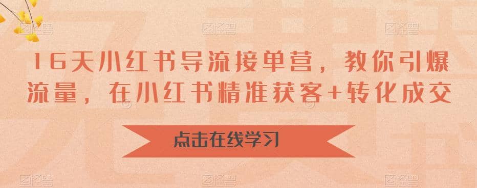 16天-小红书 导流接单营，教你引爆流量，在小红书精准获客+转化成交-飞秋社