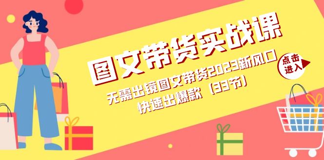 图文带货实战课：无需出镜图文带货2023新风口，快速出爆款（33节）-飞秋社