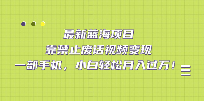 最新蓝海项目，靠禁止废话视频变现，一部手机，小白轻松月入过万！-飞秋社