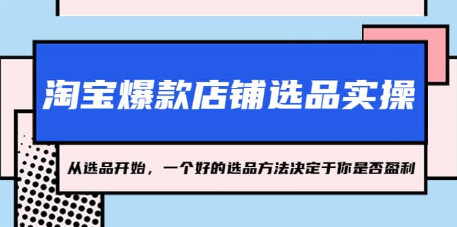 淘宝爆款店铺选品实操，2023从选品开始，一个好的选品方法决定于你是否盈利-飞秋社