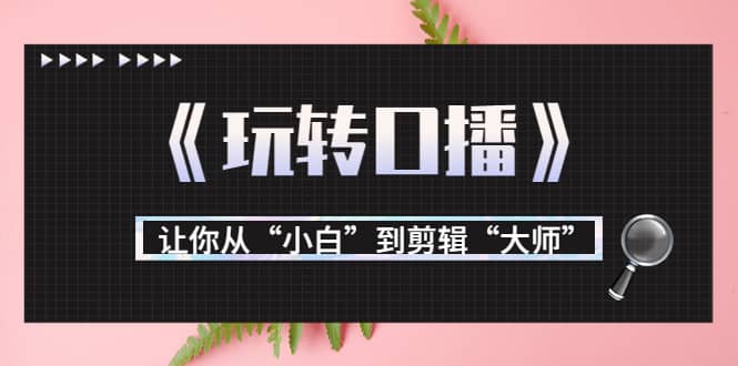 月营业额700万+大佬教您《玩转口播》让你从“小白”到剪辑“大师”-飞秋社