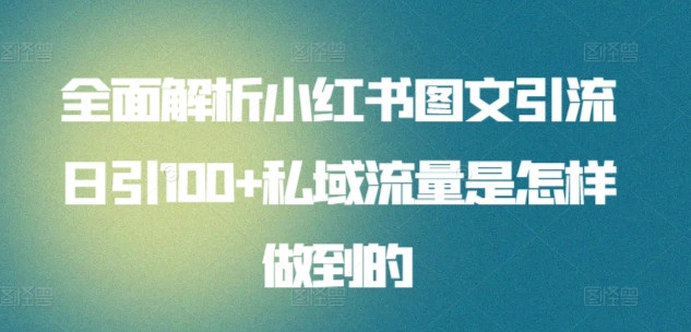 全面解析小红书图文引流日引100私域流量是怎样做到的-飞秋社