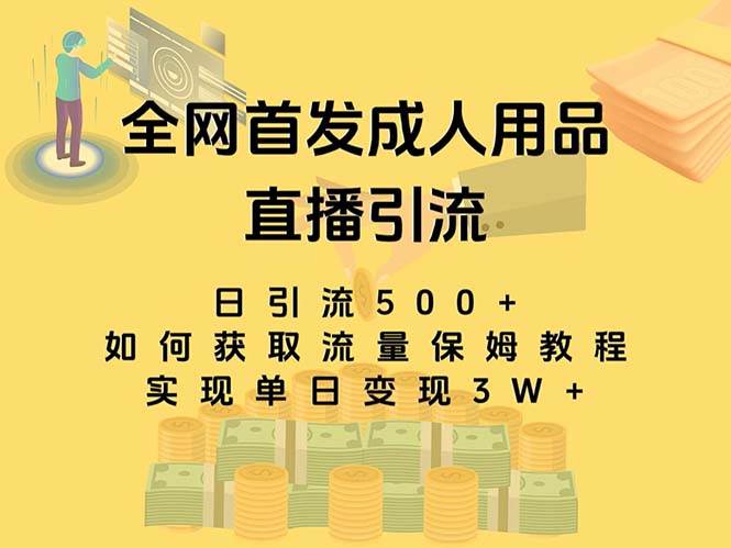 最新全网独创首发，成人用品直播引流获客暴力玩法，单日变现3w保姆级教程-飞秋社