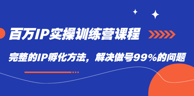 百万IP实战训练营课程，完整的IP孵化方法，解决做号99%的问题-飞秋社