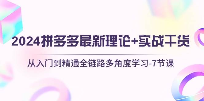 2024拼多多 最新理论+实战干货，从入门到精通全链路多角度学习-7节课-飞秋社