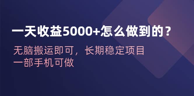 一天收益5000+怎么做到的？无脑搬运即可，长期稳定项目，一部手机可做-飞秋社