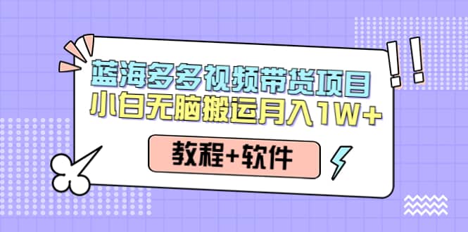 人人都能操作的蓝海多多视频带货项目 小白无脑搬运（教程+软件）-飞秋社