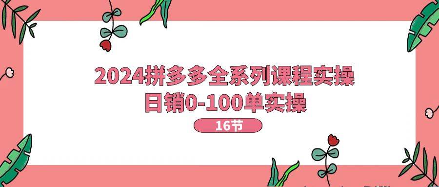 2024拼多多全系列课程实操，日销0-100单实操【16节课】-飞秋社