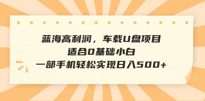 蓝海高利润，车载U盘项目，适合0基础小白，一部手机轻松实现日入500+-飞秋社