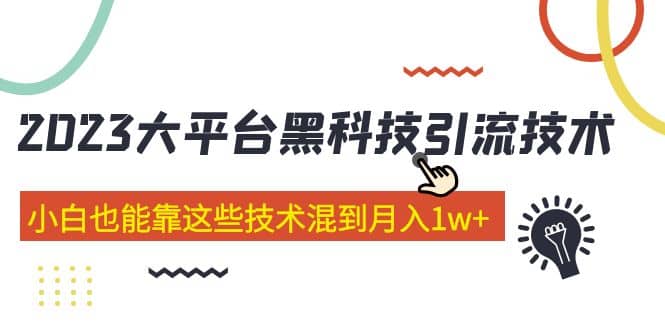 价值4899的2023大平台黑科技引流技术 29节课-飞秋社