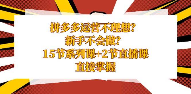 拼多多运营不理想？新手不会做？15节系列课+2节直播课，直接掌握-飞秋社