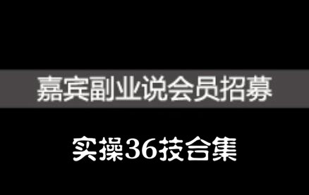 嘉宾副业说实操36技合集，价值1380元-飞秋社