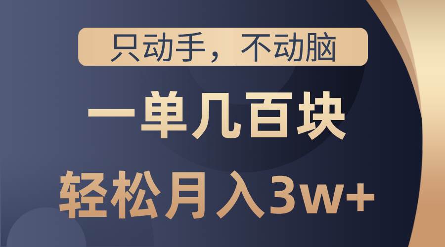 只动手不动脑，一单几百块，轻松月入3w+，看完就能直接操作，详细教程-飞秋社