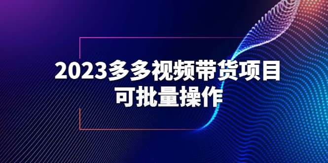 2023多多视频带货项目，可批量操作【保姆级教学】-飞秋社