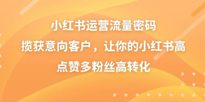 小红书运营流量密码，揽获意向客户，让你的小红书高点赞多粉丝高转化-飞秋社