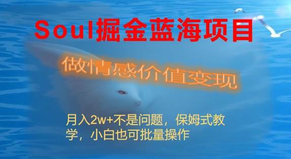 Soul掘金蓝海项目细分赛道，做情感价值变现，月入2w+不是问题-飞秋社