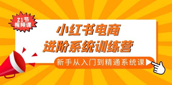 小红书电商进阶系统训练营：新手从入门到精通系统课（21节视频课）-飞秋社