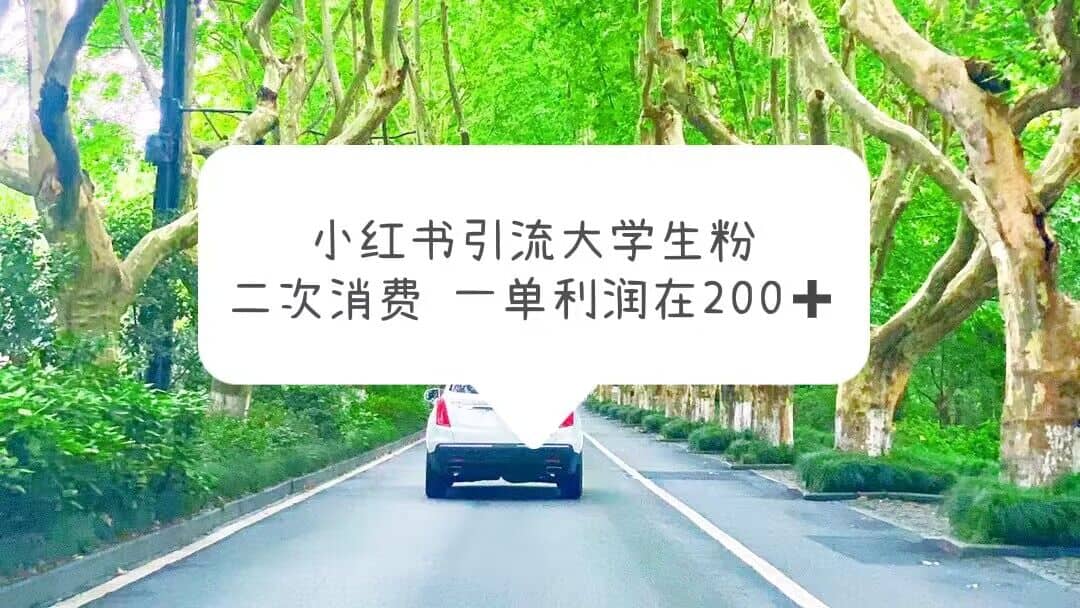 小红书引流大学生粉，变现项目，一单利润在200+（教程+资源）-飞秋社