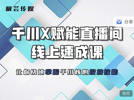 枫芸传媒-线上千川提升课，提升千川认知，提升千川投放效果-飞秋社