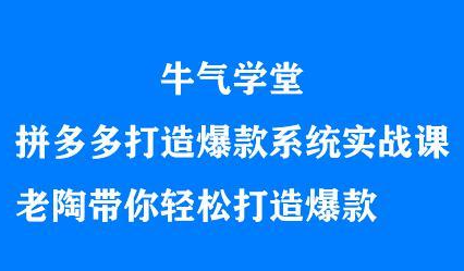 牛气学堂拼多多打造爆款系统实战课，老陶带你轻松打造爆款-飞秋社