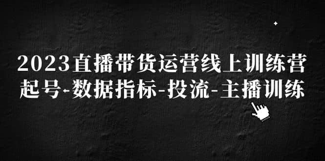 2023直播带货运营线上训练营，起号-数据指标-投流-主播训练-飞秋社