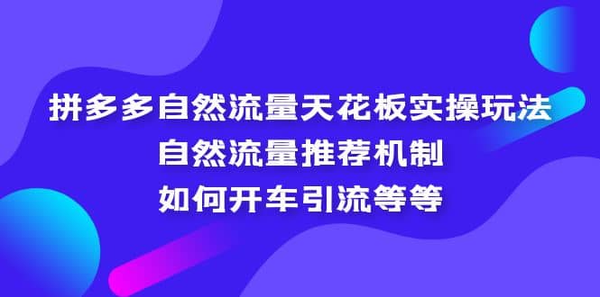 拼多多自然流量天花板实操玩法：自然流量推荐机制，如何开车引流等等-飞秋社