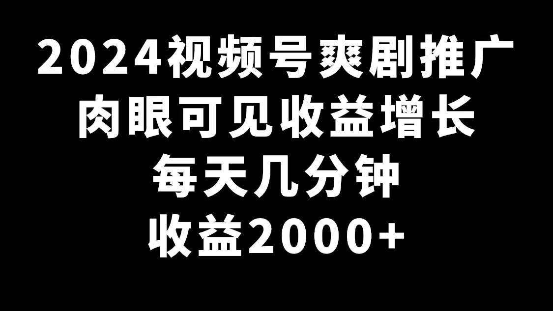 2024视频号爽剧推广，肉眼可见的收益增长，每天几分钟收益2000+-飞秋社