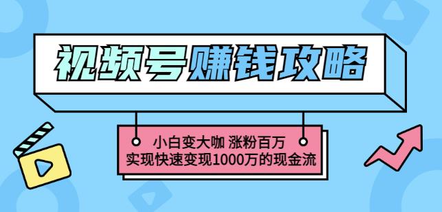 玩转微信视频号赚钱：小白变大咖涨粉百万实现快速变现1000万的现金流-飞秋社