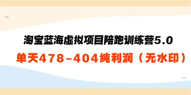 淘宝蓝海虚拟项目陪跑训练营5.0：单天478纯利润（无水印）-飞秋社