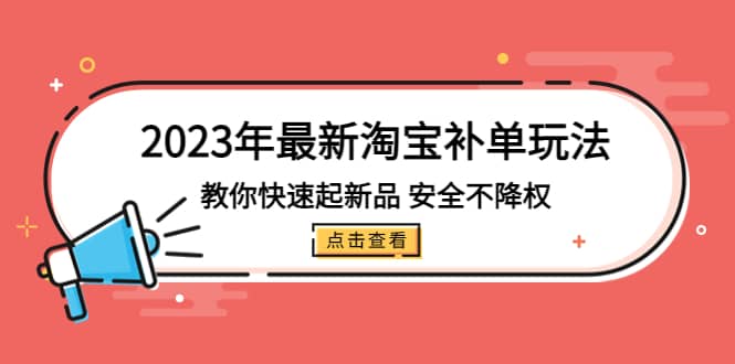 2023年最新淘宝补单玩法，教你快速起·新品，安全·不降权（18课时）-飞秋社