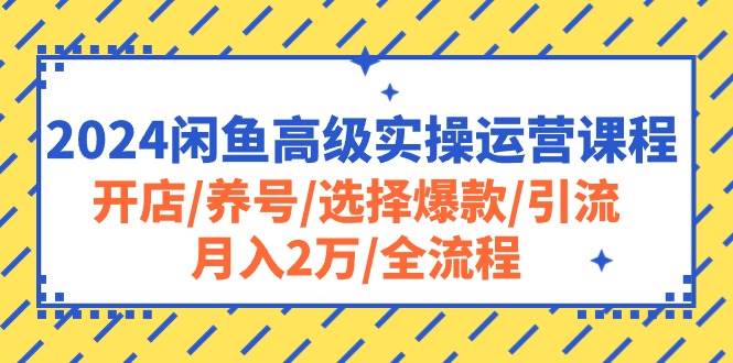 2024闲鱼高级实操运营课程：开店/养号/选择爆款/引流/月入2万/全流程-飞秋社