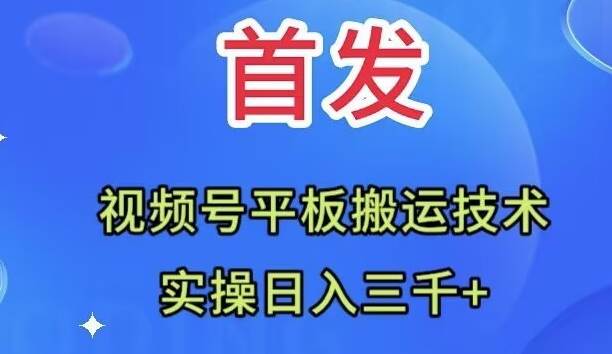 全网首发：视频号平板搬运技术，实操日入三千＋-飞秋社