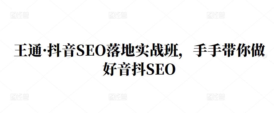 王通·抖音SEO落地实战班，手‬手带你做好音抖‬‬SEO-飞秋社