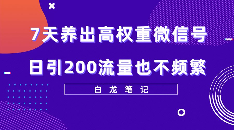 7天养出高权重微信号，日引200流量也不频繁，方法价值3680元-飞秋社