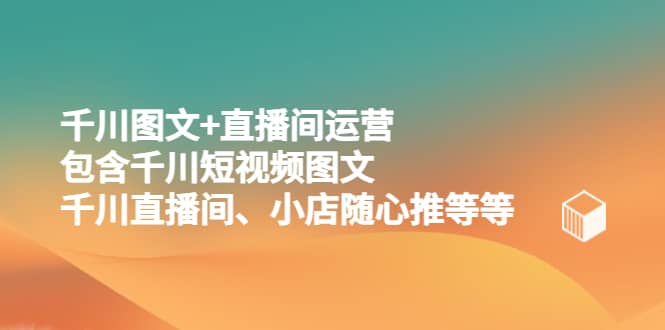 千川图文+直播间运营，包含千川短视频图文、千川直播间、小店随心推等等-飞秋社