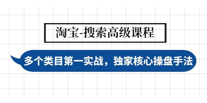 淘宝-搜索高级课程：多个类目第一实战，独家核心操盘手法-飞秋社