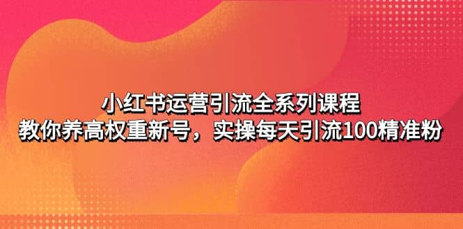 小红书运营引流全系列课程：教你养高权重新号-飞秋社